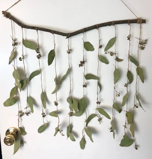 Eucalyptus Wall Decor, Dried Eucalyptus, Hanging