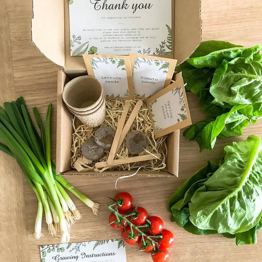 Grow Your Own Salad Garden
