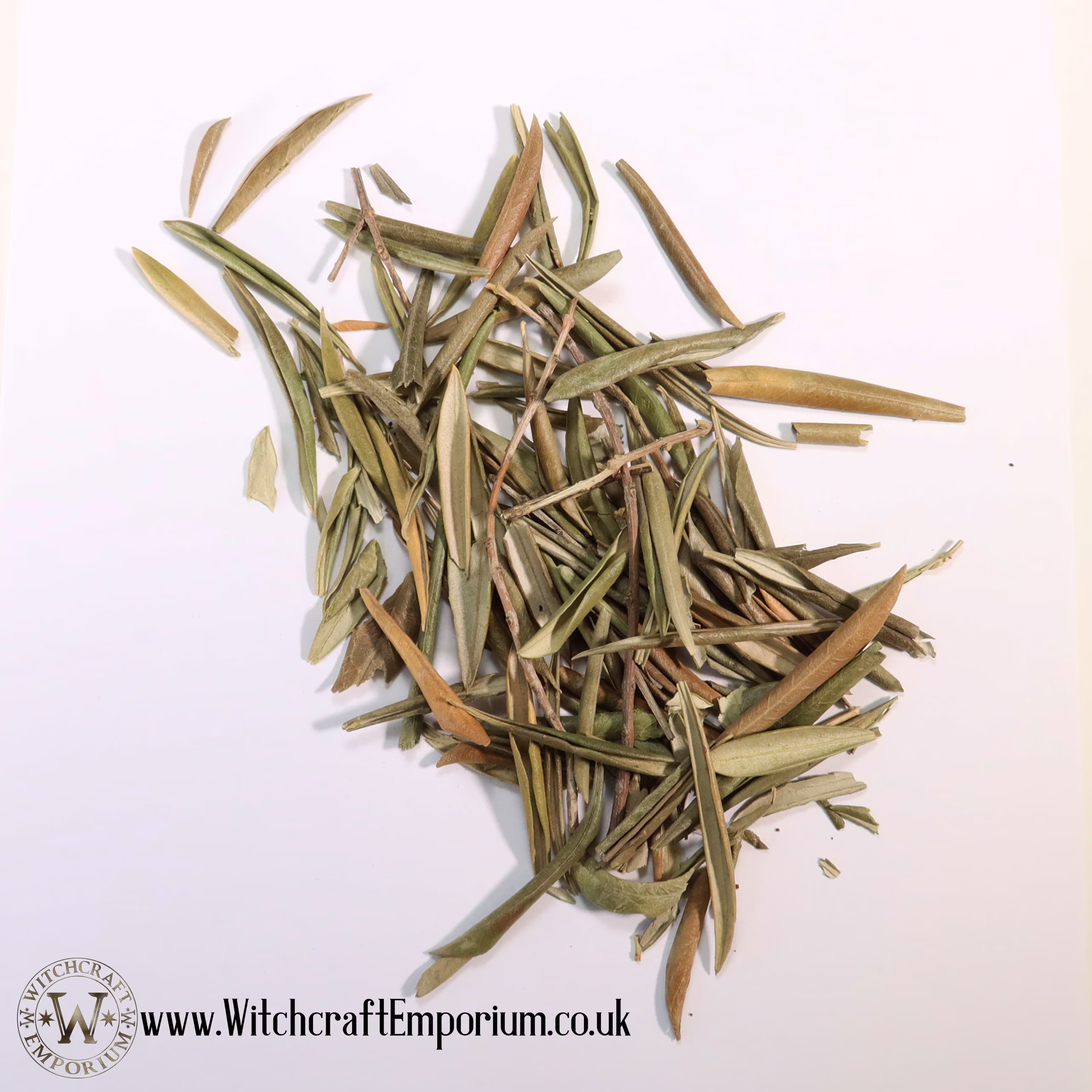 Olive Leaves - Herb Organic Natural Vegan Pagan Wicca Wiccan Spell Potion Ritual Magic Magick Energy Tea
