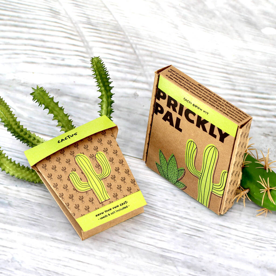 Prickly Pal Cactus Grow Pot Kit