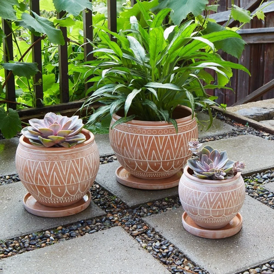 Bangladesh Rustic Terracotta Belly Pot Set With Saucers
