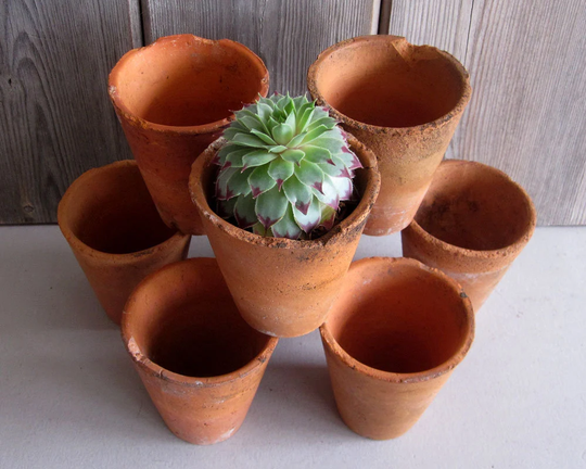 Vintage 8 Small Handmade Terracotta Plant Pots/Set Of Eight Clay Flower