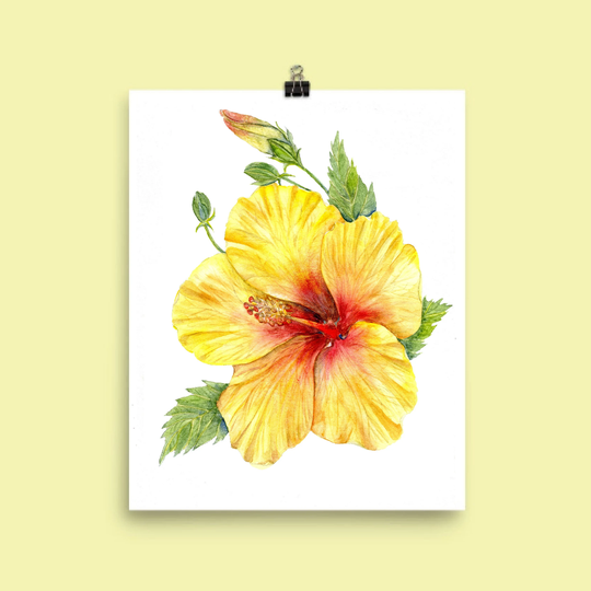 Yellow Hibiscus Flower - Botanical Art Print Of Watercolor Painting Cottage Décor Tropical Botanical Art Plants Nature