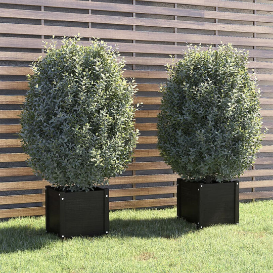Asupermall - Garden Planters 2 pcs Black 40x40x40 cm Solid Pinewood