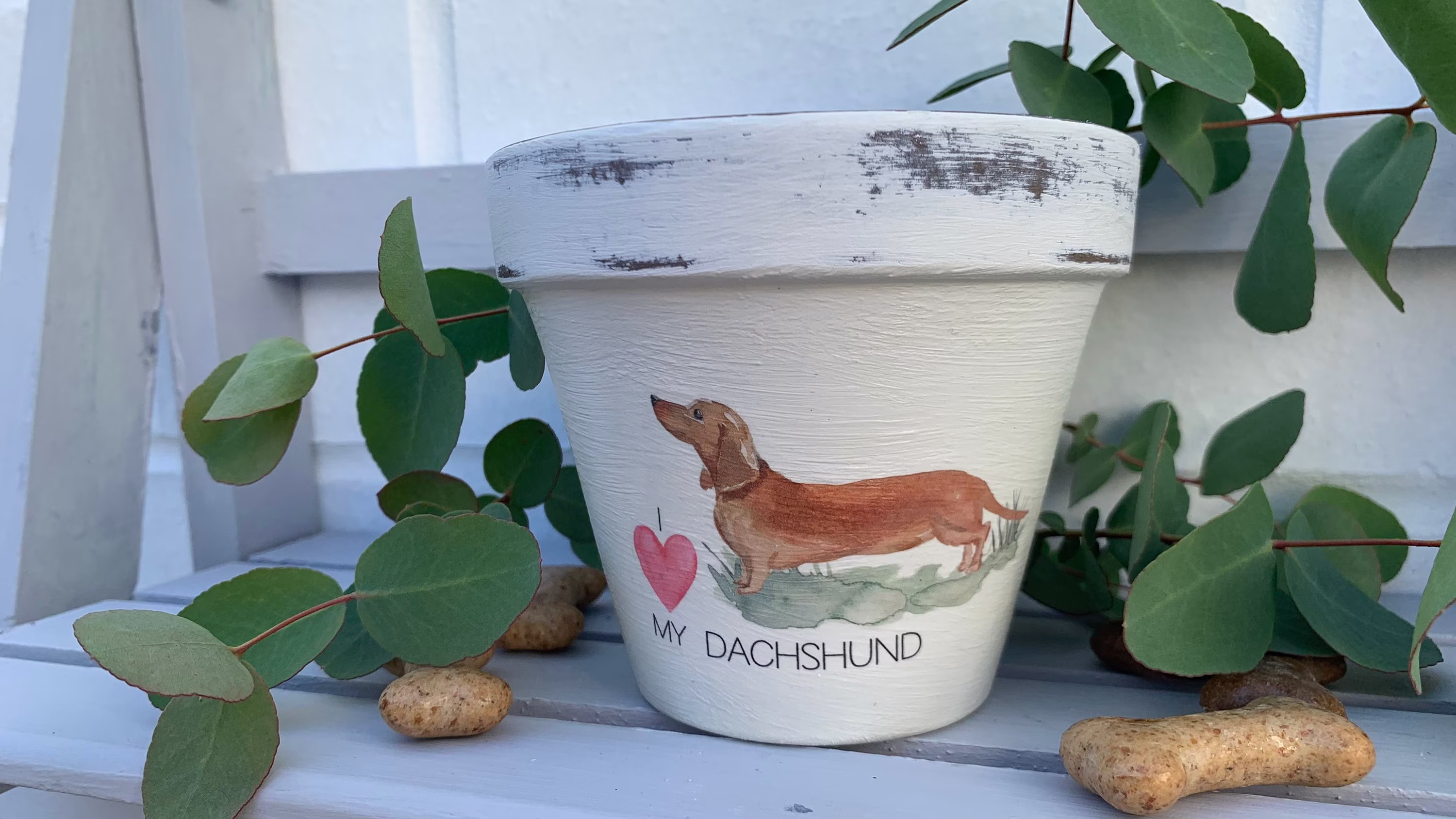 Personalised Dachund Dog Plant Pot Gift. Dog Memorial Keepsake Flower Planter. Lovers Birthday Terracotta Pot