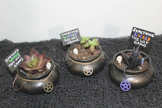 Cauldron Planter