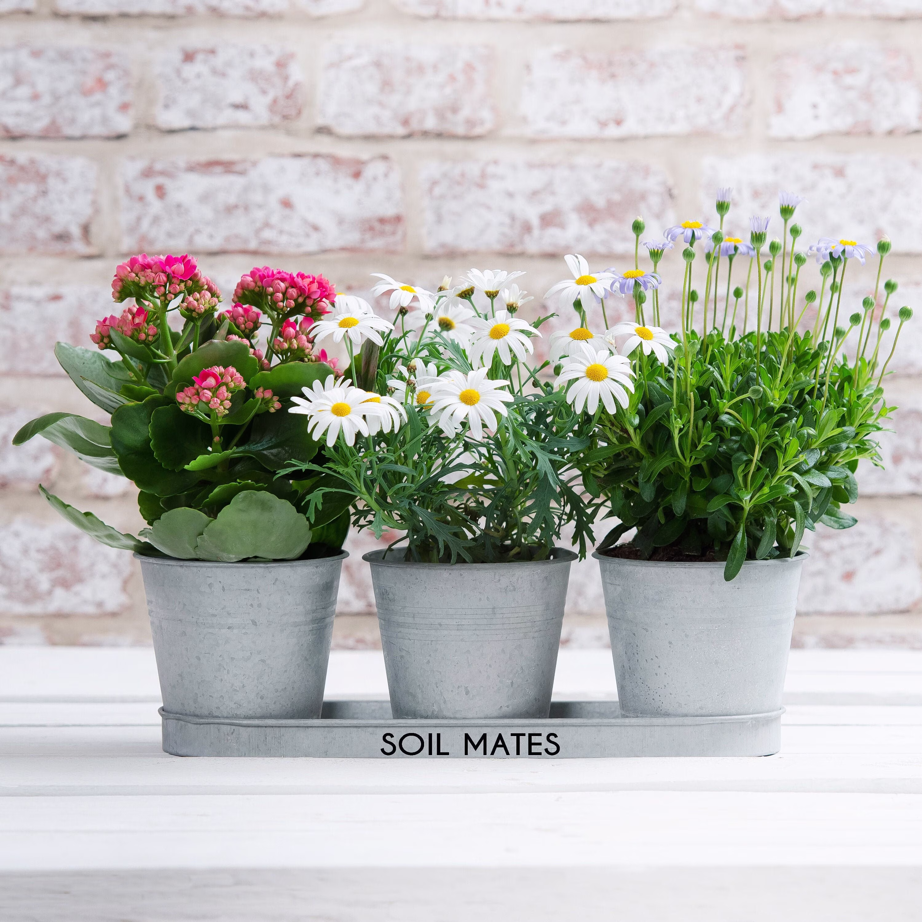 Metal Message Planters - 10Th Anniversary Gift Personalised Planter Tin Bucket Tenth For Spouse