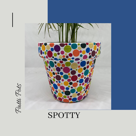 Spotty Hand Painted Plant Pot