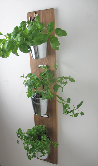 Wall Hanging Herb Garden With Rustic Tin Pots, Kitchen Decor, Green Fingers, Herbs & Spices, Home Decor, Housewarming Gift