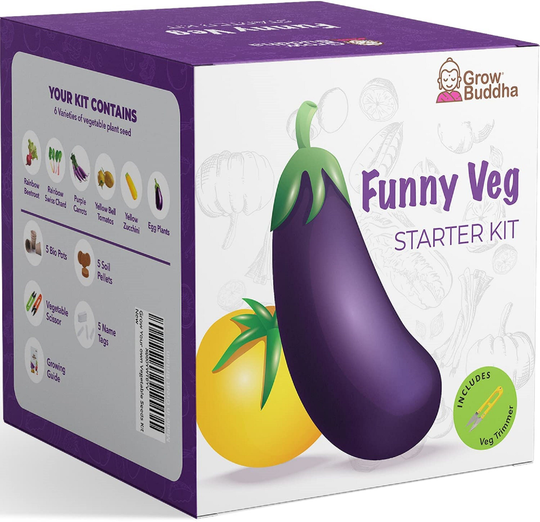 Vegetable Seeds Kit, Grow Your Own Kit, Rainbow 6 Varieties Vegetables Seeds Starter Herb Veg Gift For Beginner
