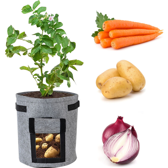 Non-woven plant growth bag seedling bag (one pack), large 10 gallons gray - large 10 gallons gray