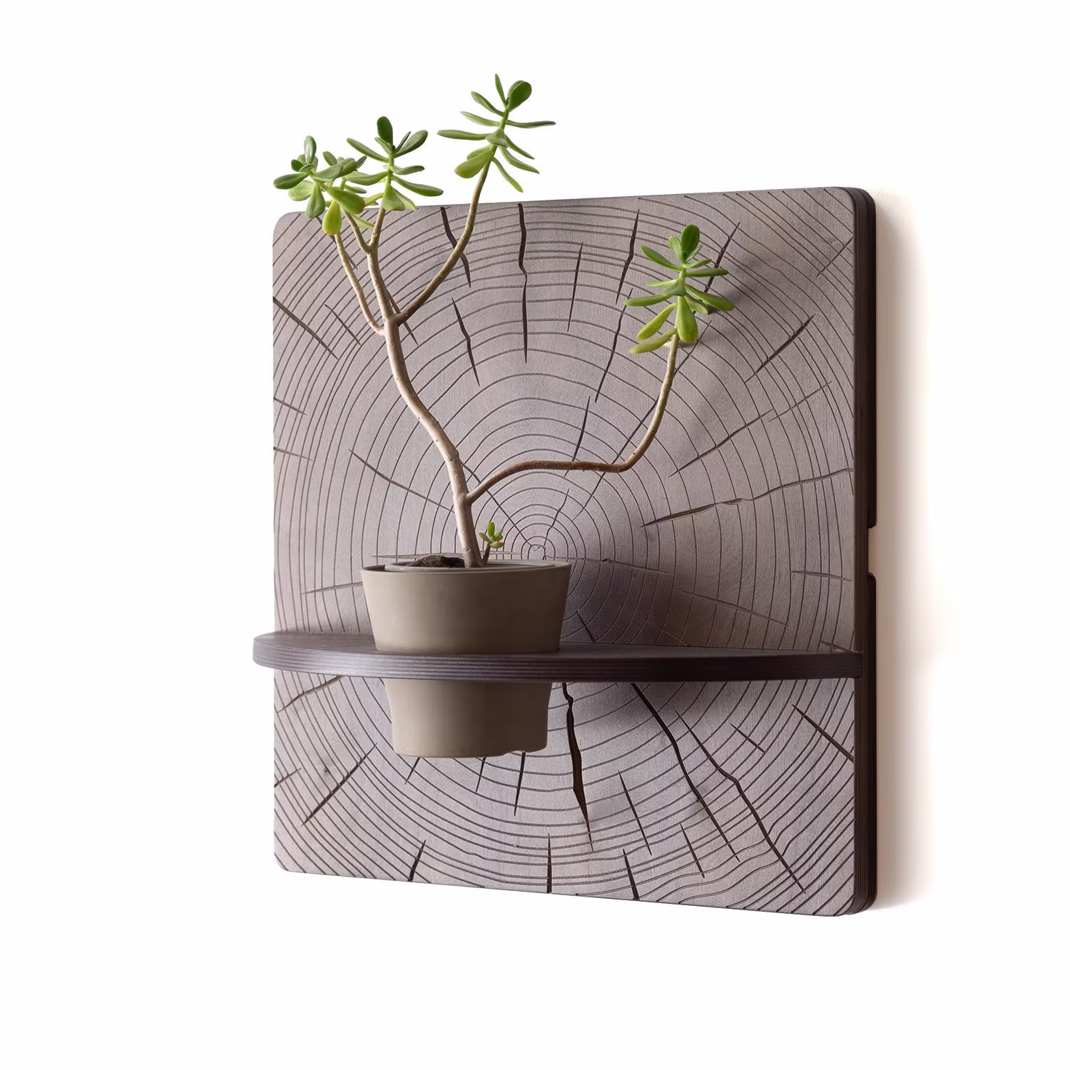 Karvd Timber - Hanging Planter Wall Mounted Plant Stand Indoor Panel Shelf Garden Wood Carved Tree Ring Art