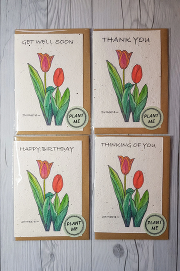 Tulips Plantable Seeded Card Zero Waste Eco Friendly Tree Free Wild Flower Seeds Get Well Soon, Happy Birthday, Thankyou, Thinking Of You