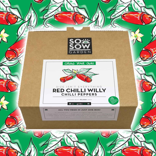 Red Chilli Willy Chilli Pepper Grow Your Own Kit