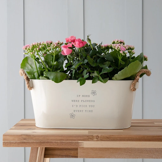 Engraved Flower Pot