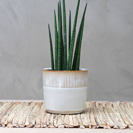 Natural Ceramic Planters In Small And Medium