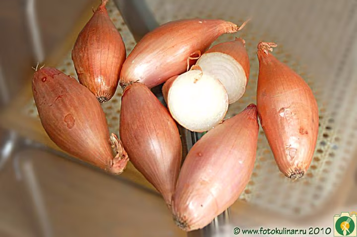 Onion Seeds Lyubchyk About 100