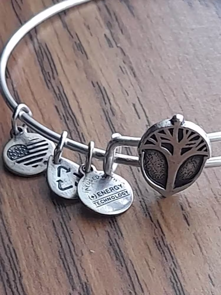 Alex & Ani Tree Of Life Slider Charm Bangle Bracelet