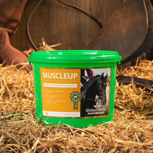 Global Herbs - Muscleup - 1 Kg - MUSCLEUP1KG