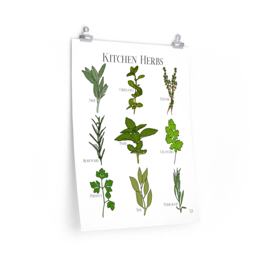 Kitchen Herbs Identification Poster
