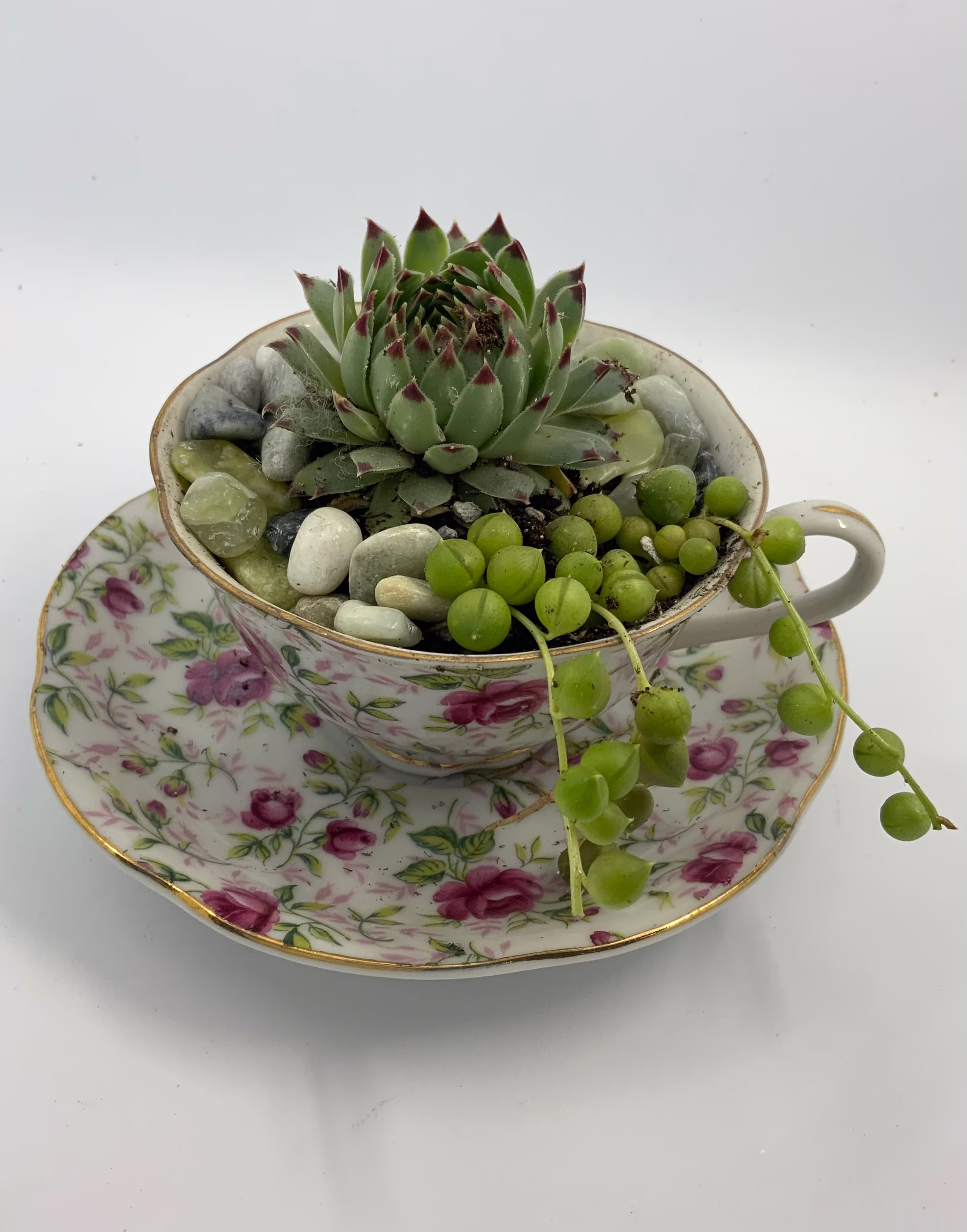 Teacup, Teacup Garden, Last Minute Gift, Succulent Tea Cup, Sympathy Gift, Mom Gift, Sister Gift, Flower Gift
