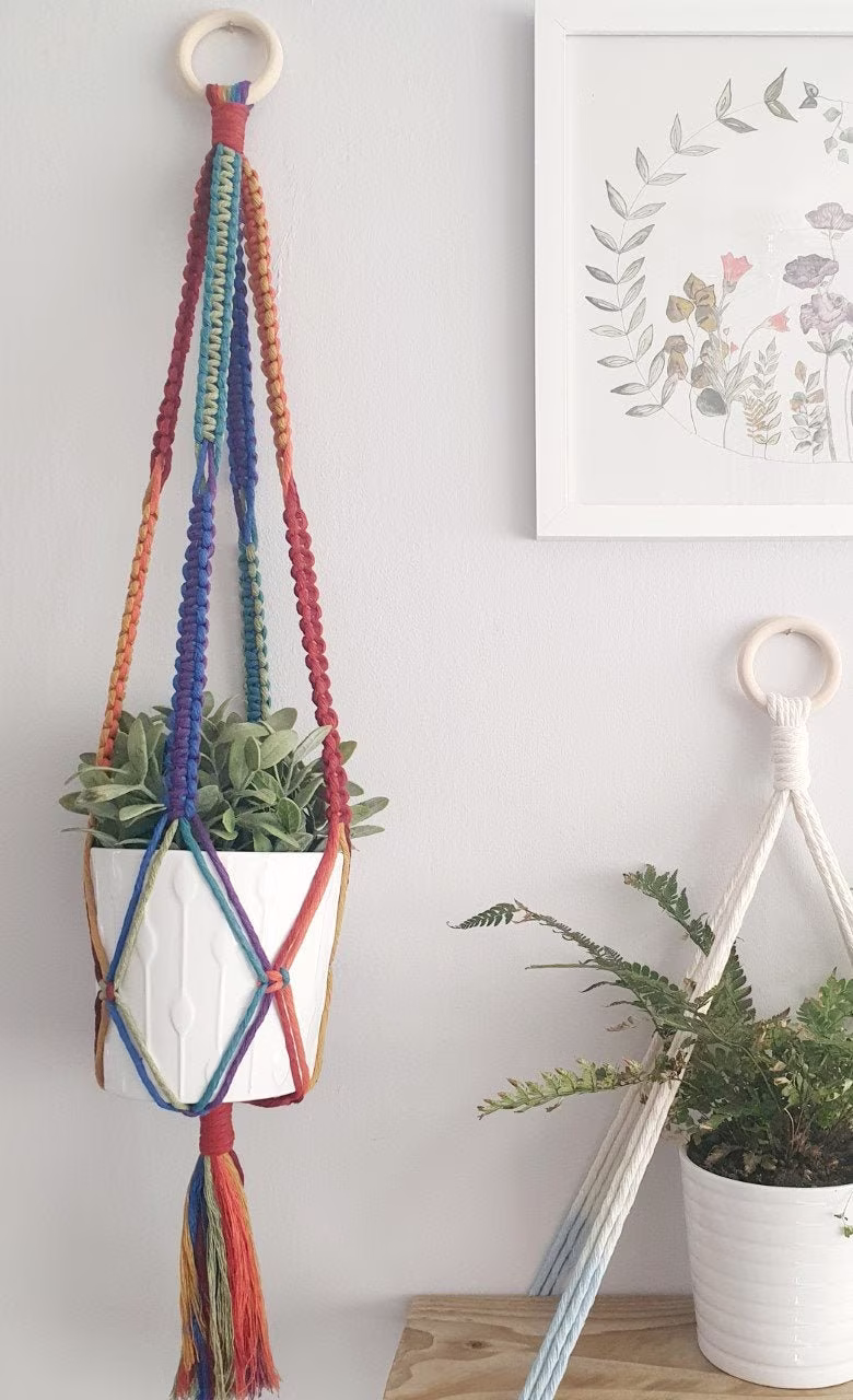 Rainbow Macrame Plant Hanger