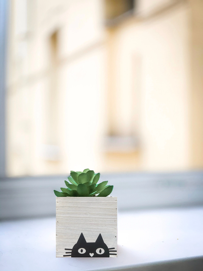 Black Cat Planter, Succulent Small Whitewashed Rustic Wood Box, Lover Gift, Gifts, Garden, Gift For Her