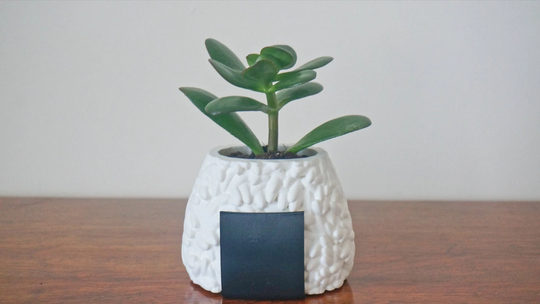 Onigiri Sushi Planter/Pencil Pen Holder, Rice Ball Plant Pot, Office Desk Decoration, Tokyo Kawaii Cute Japanese Lover Gift