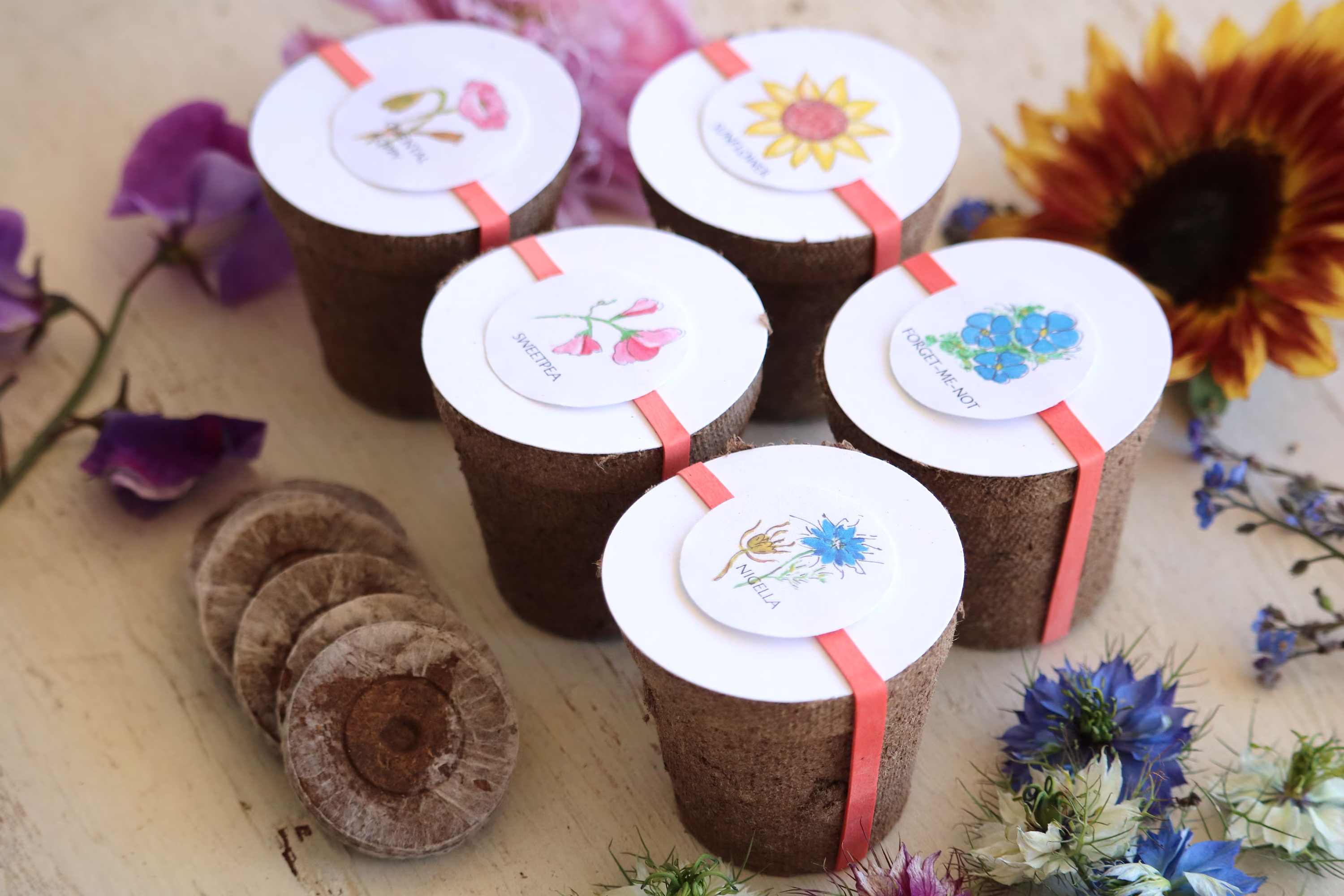 Flower Wedding Favors - Set Of 5 Flower Kits, Garden Party Favor, Annual Seeds, Eco Friendly Gift Seed Kit