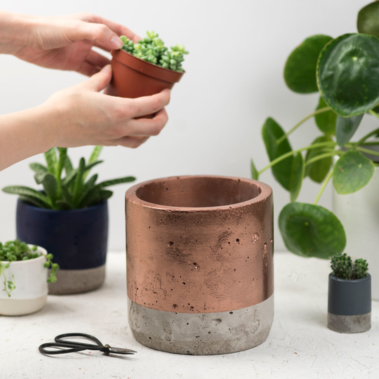 Large Copper Concrete Planter