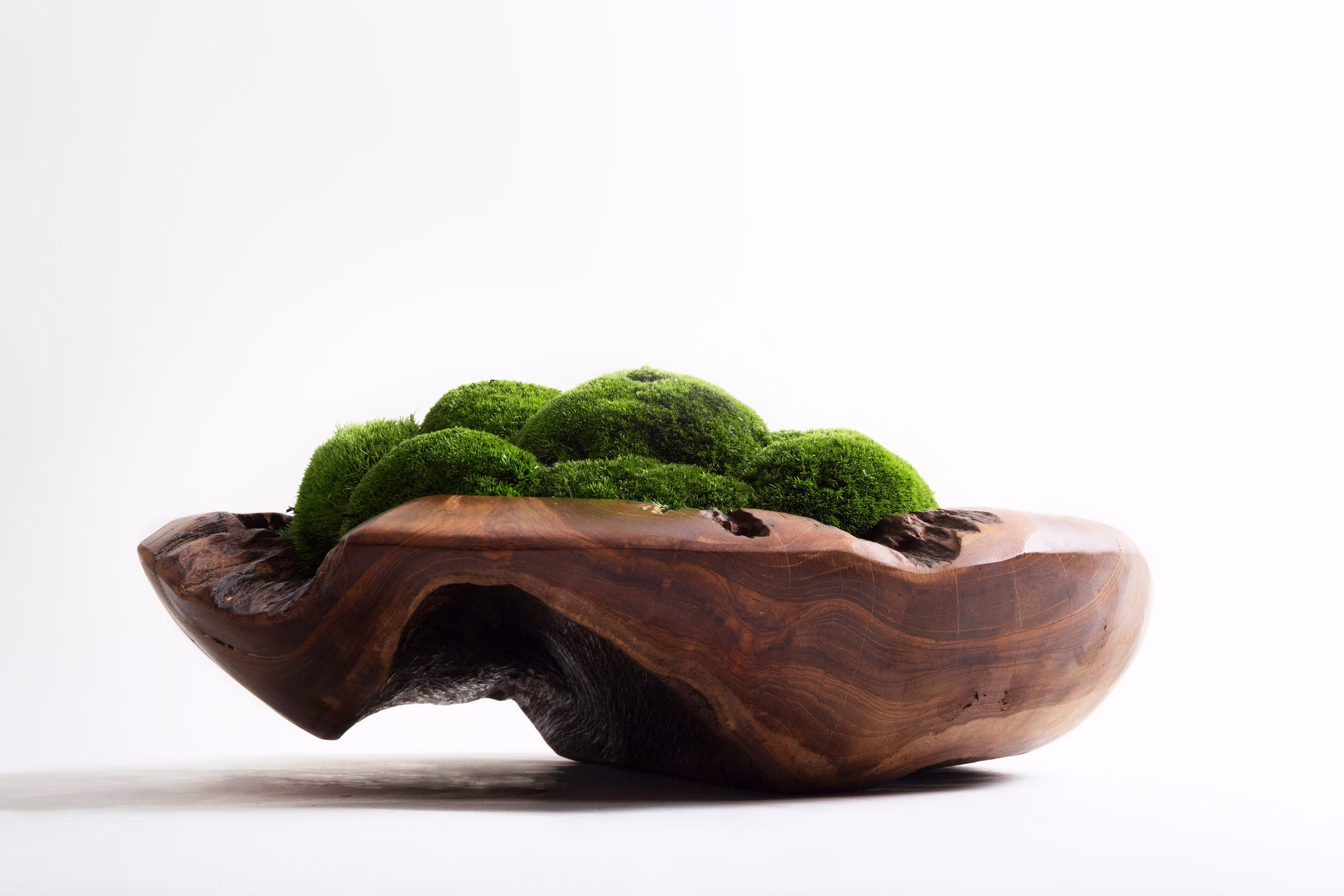Moss Bowl Wabi-Sabi Medium