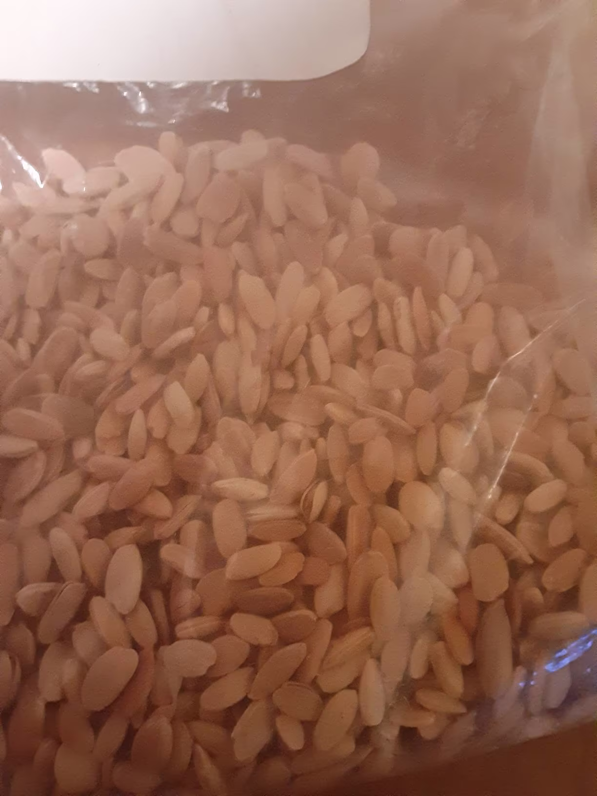 Osage Orange Tree Seeds