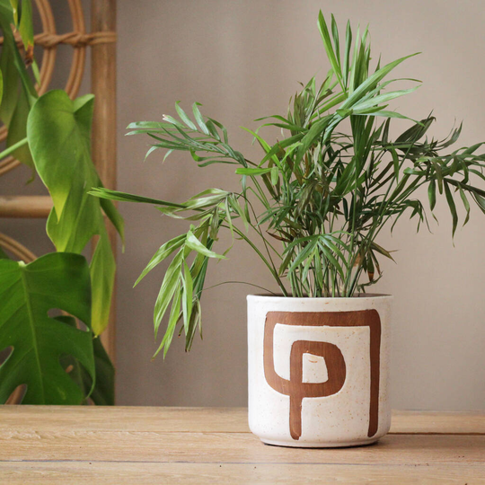 Terracotta 'Deco' Planter In White