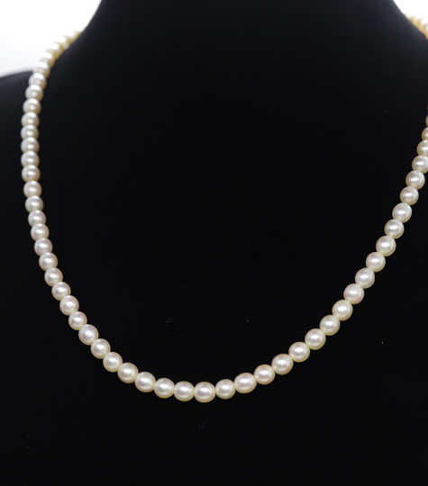 14K Pearl Seed Necklace. 4.2mm Pearls 16In | 639
