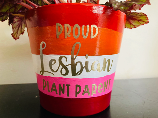 Proud Lesbian Plant Parent Flag Plant Pot - 4 Inch Planter With Drainage Hole, Made Clay Terra Cotta