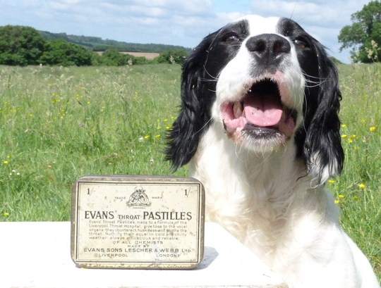 Vintage Evans Throat Pastilles Tin | Liverpool