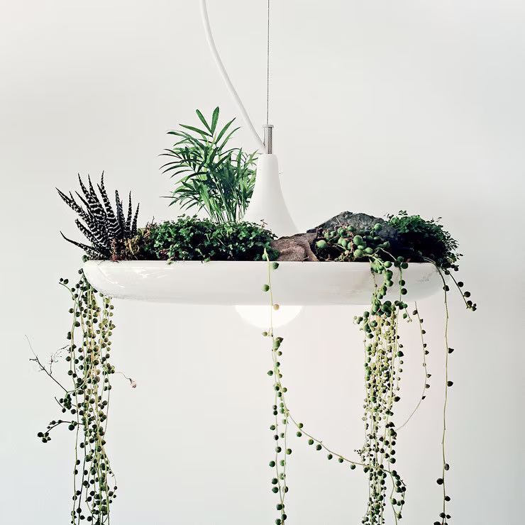 Babylon Hanging Pendant Plant Light