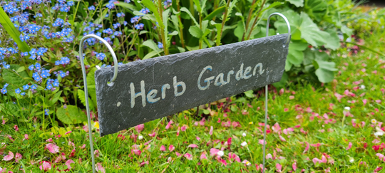 Natural Slate Hanging Garden Plant Labels Markers Label Tags Stakes Herb Vegetables Allotment Gifts 24cm X 6cm