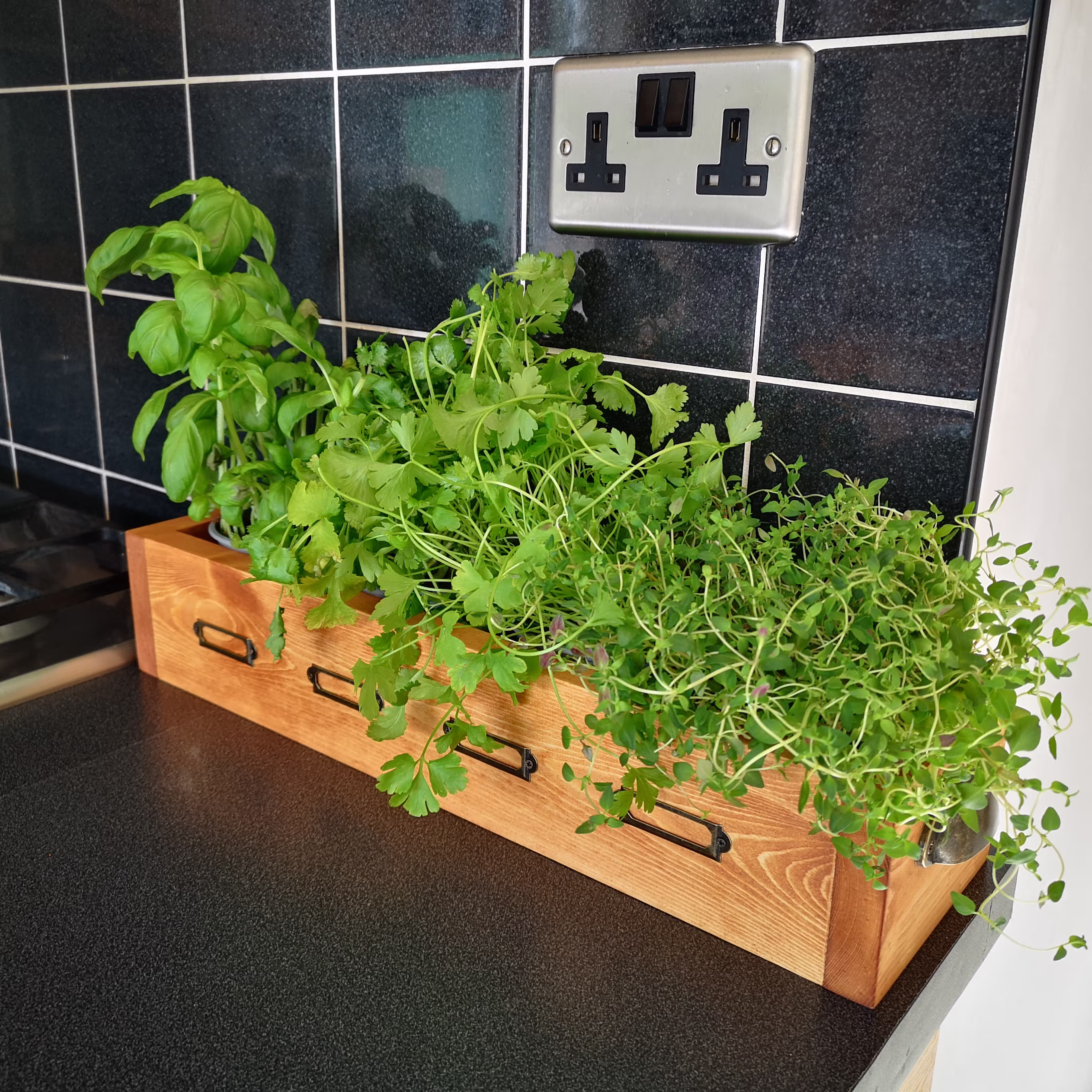 Wooden Herb Box - 50cm Window Sill Kitchen Planter Indoor Garden