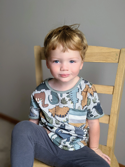 Kids Dinosaur Shirt, Kids Organic Clothes, Three Rex Birthday Dino Four Shirt, Dinomite Birthday, Rawr I'm 1