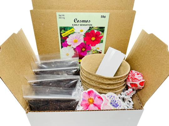 Cosmos Grow Kit | Your Own Gift Plant Seeds Flower Birthday Housewarming Hostess