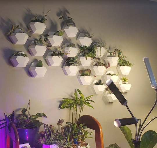 Geometric Air Planter | Eco Friendly Geo 3D Printed Plant Pot Wall