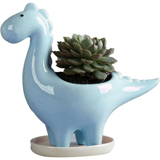 Ceramic Succulent Plant Pot - Creative Cactus - Decorative Flower Pot For Home, Office - Blue