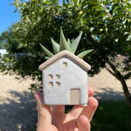 Glazed Ceramic House Planter Perfect For Succulents, Cacti & Indoor Plants
