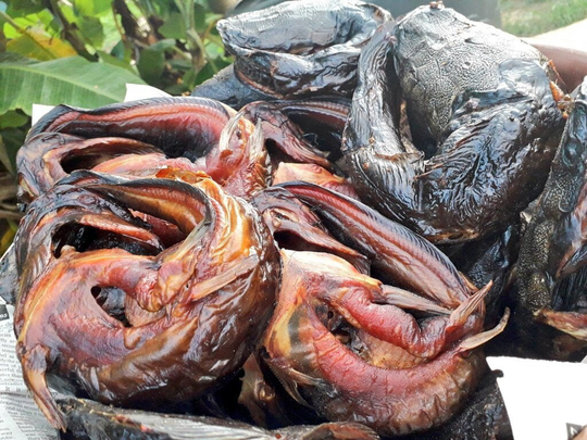 Freshly Smoked Dried Organic Catfish | 4 Large Pieces