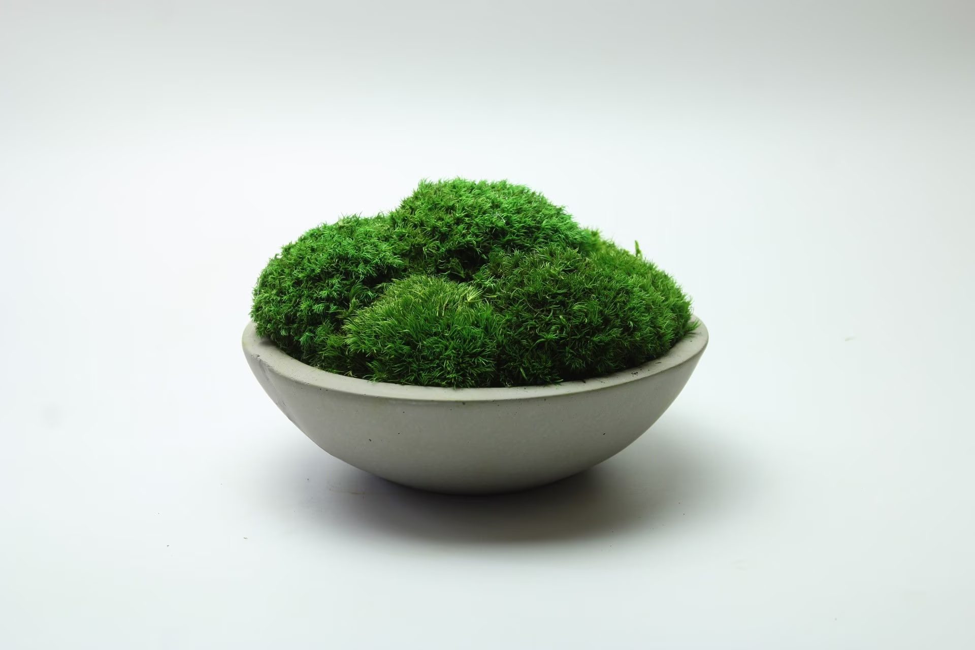 Moss Bowl | Concrete Table Centrepiece Art