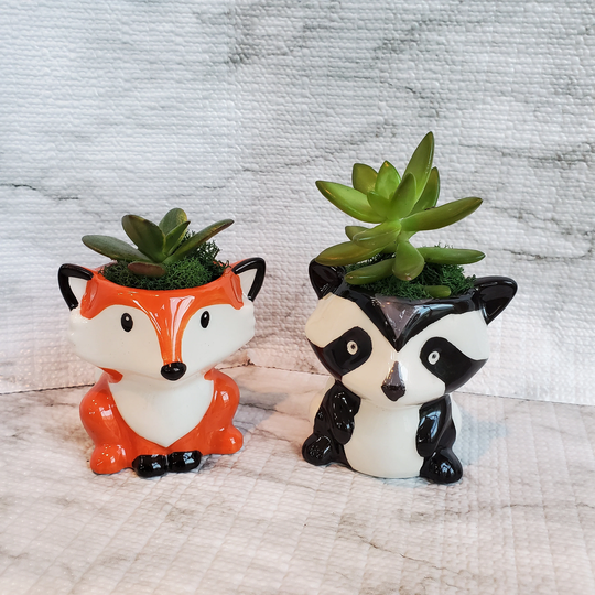 Animal Planters With Succulents, Fox & Raccoon, Live Succulent, Succulent Gift, Pot, Raccoon Planter, Pot
