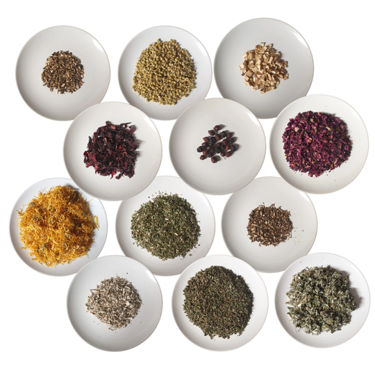 Chinchilla Treat Selection