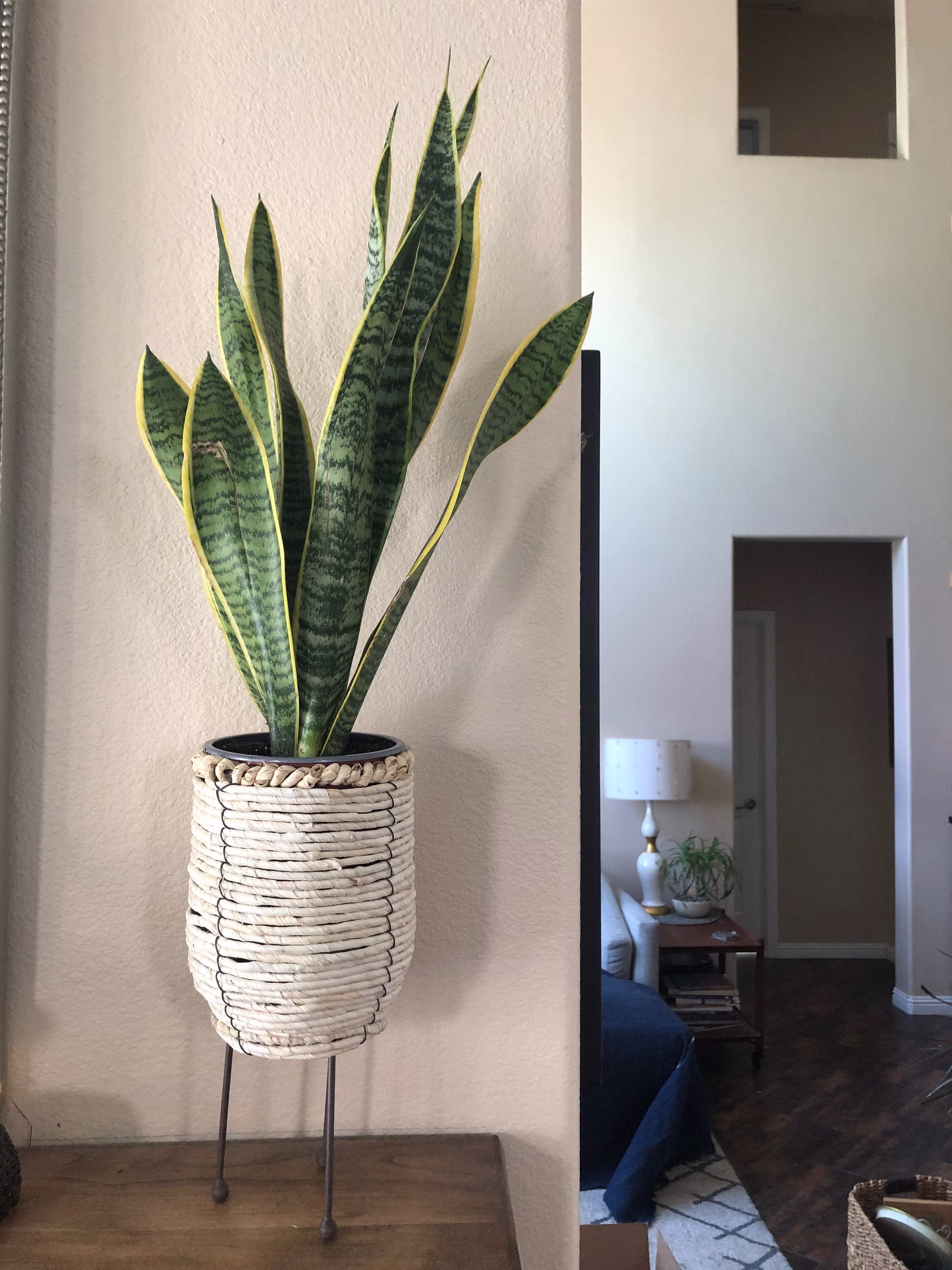 Natural Woven Rope Container With Metal Legs 6