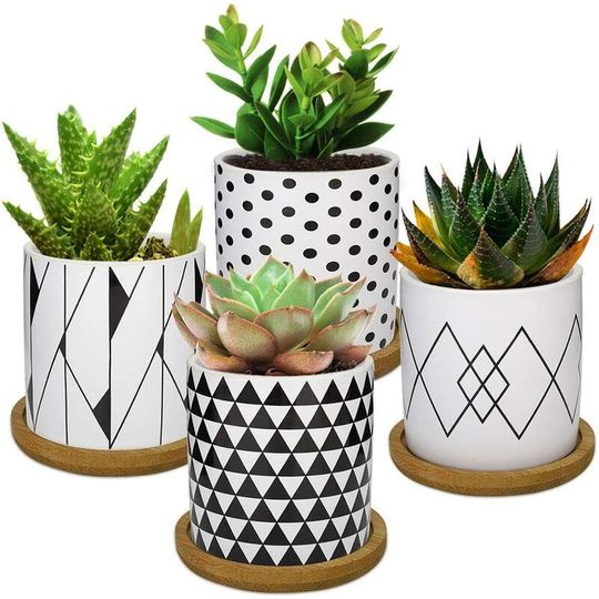 4PCS Flower Pot, 2.8 inch Mini Ceramic Succulent Pots Horticultural Planter with Bamboo Tray for Small Plants Flowers Cactus Home Decorations Decor